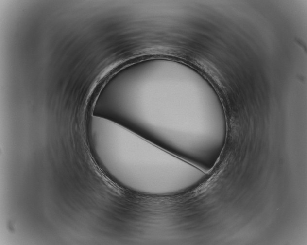 X0000098110931200804040758