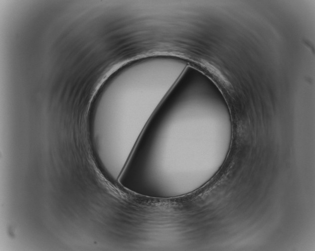X0000098110934200804040758