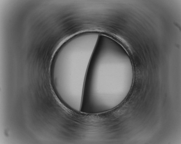 X0000098110935200804040758