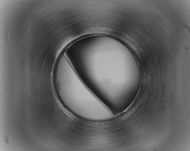 X0000098110936200804040758