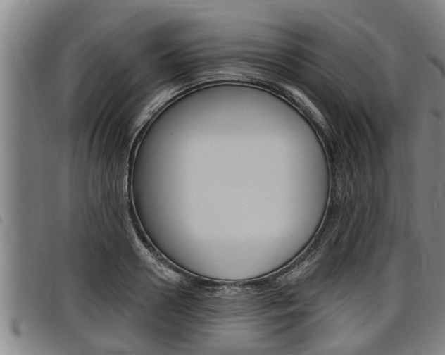 X0000098110938200804040758