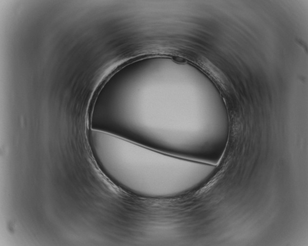 X0000098110940200804040758
