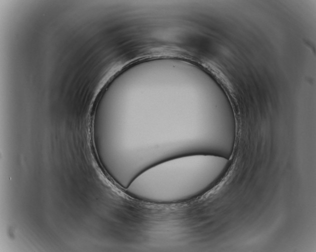 X0000098110941200804040758