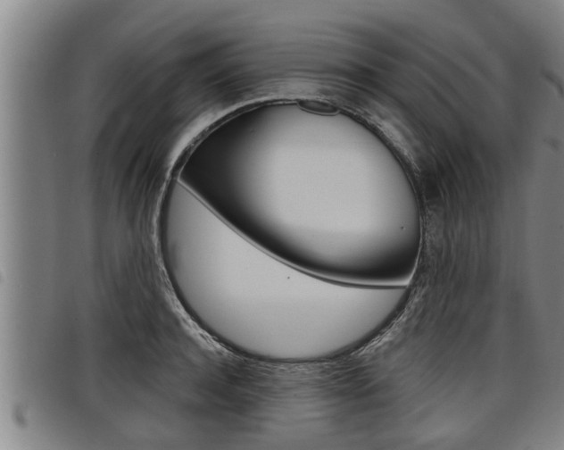 X0000098110944200804040758