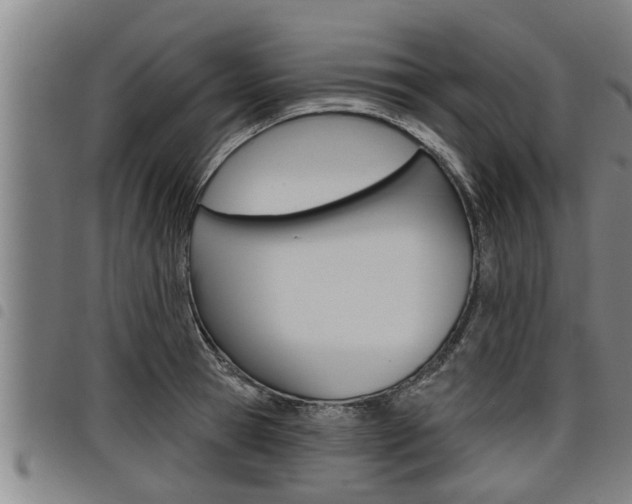 X0000098110945200804040758