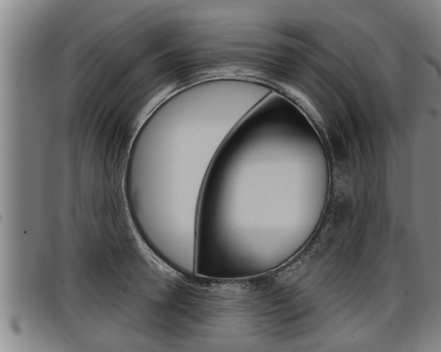 X0000098110946200804040758