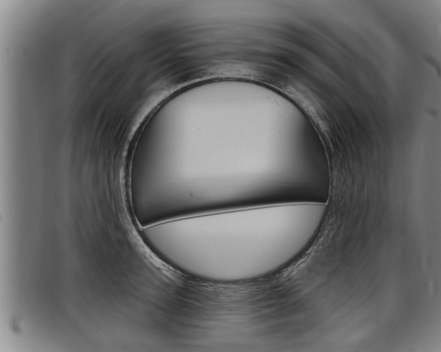 X0000098110947200804040758