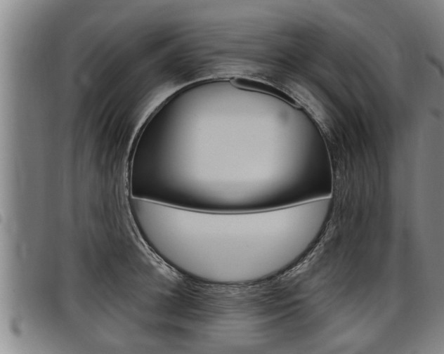 X0000098110948200804040758