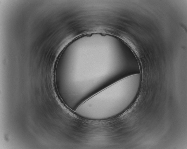 X0000098110949200804040758