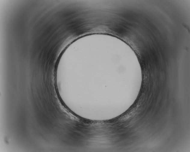 X0000098110950200804040758