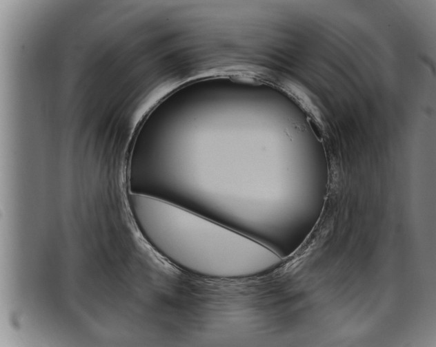 X0000098110952200804040758