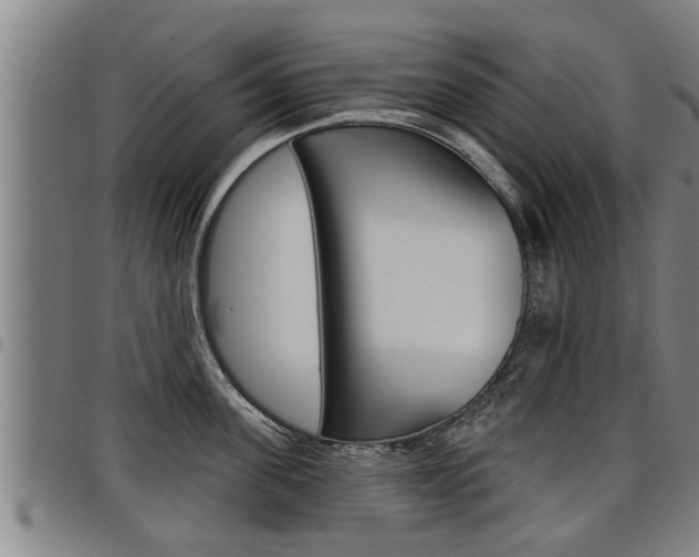 X0000098110955200804040758