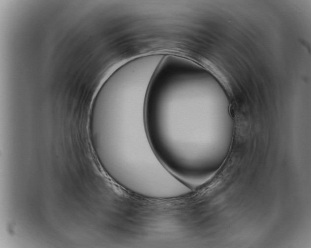 X0000098110956200804040758