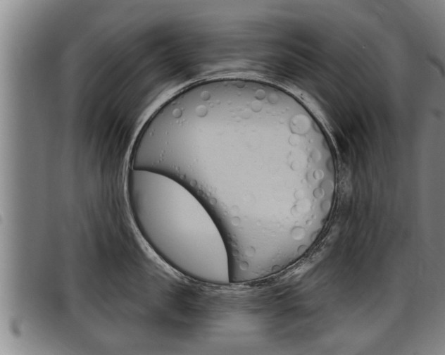 X0000098110957200804040758