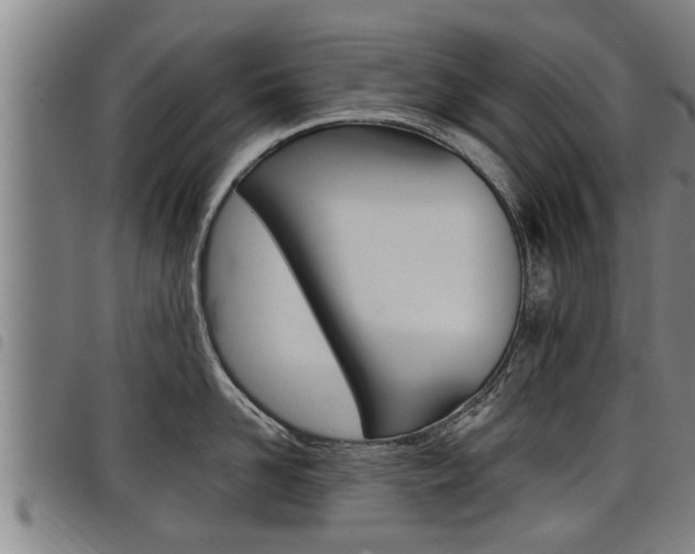X0000098110958200804040758