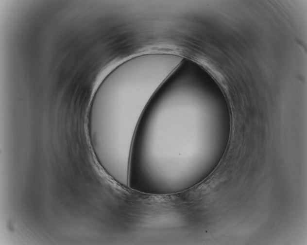 X0000098110960200804040758