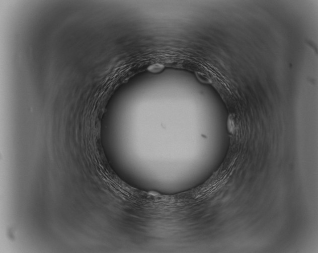 X0000098110961200804040758