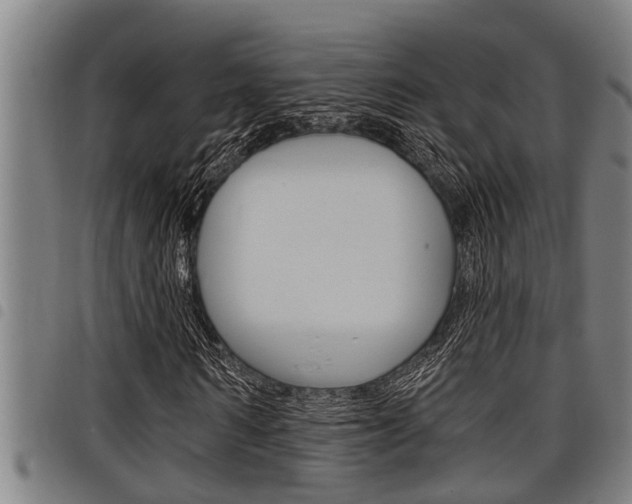 X0000098110962200804040758