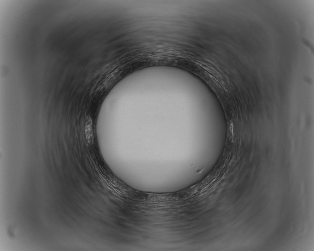 X0000098110963200804040757