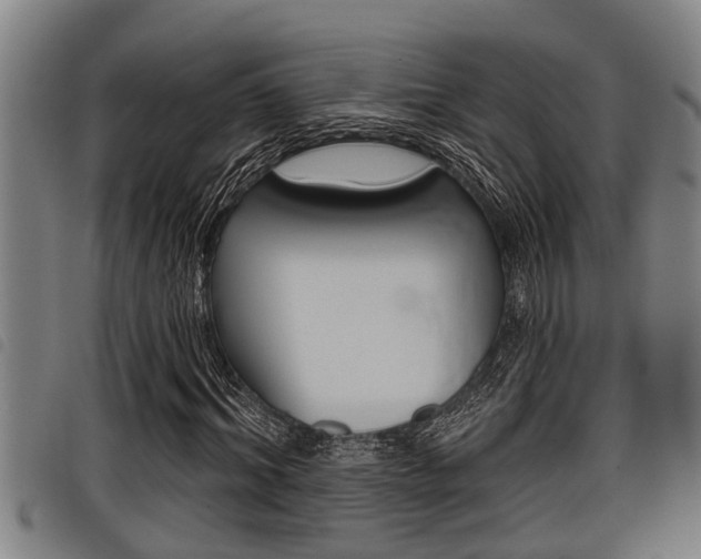 X0000098110964200804040757