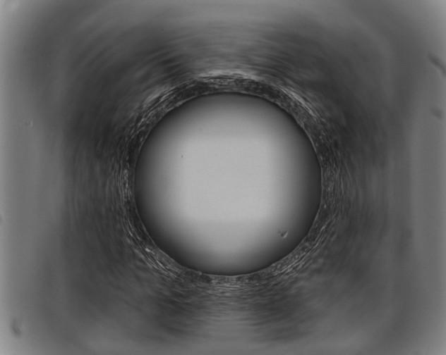 X0000098110965200804040757
