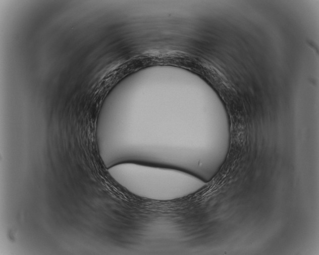 X0000098110966200804040757