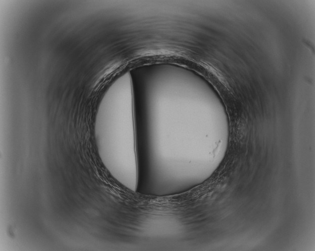 X0000098110967200804040757