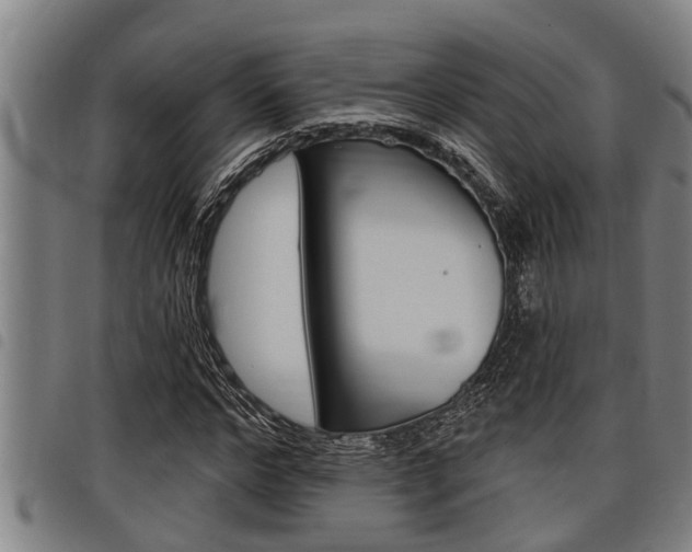 X0000098110968200804040757