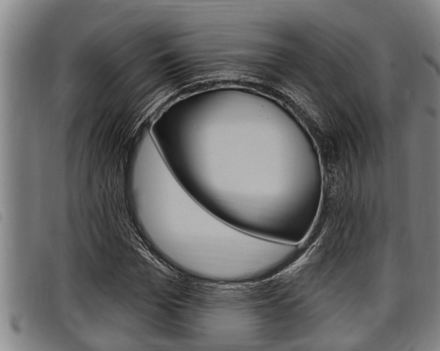 X0000098110969200804040757