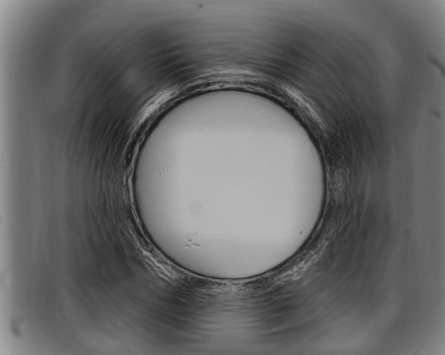 X0000098110970200804040757