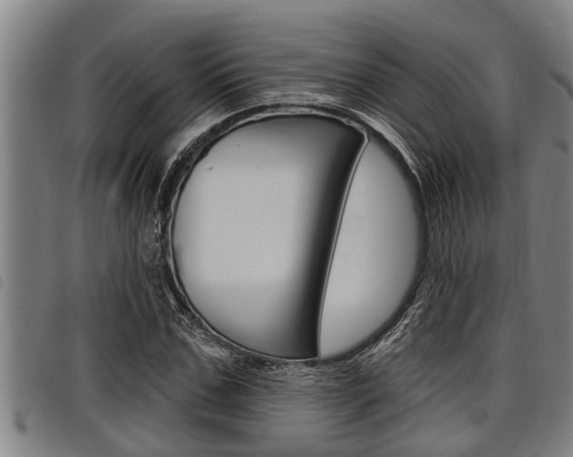 X0000098110971200804040757