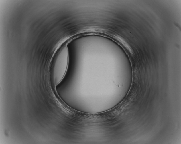 X0000098110972200804040757