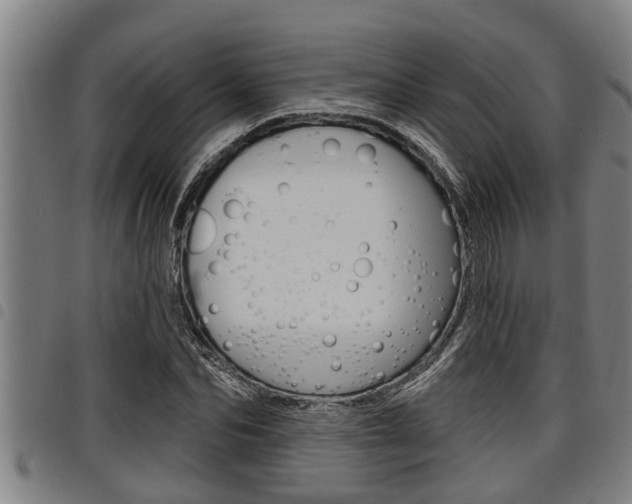 X0000098110974200804040757