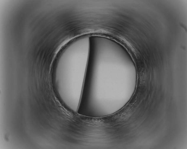 X0000098110975200804040757