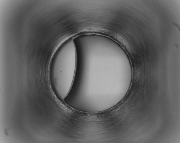 X0000098110976200804040757