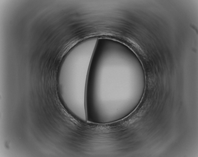 X0000098110977200804040757