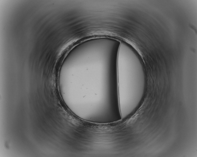X0000098110979200804040757