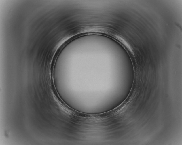 X0000098110980200804040757