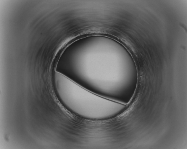 X0000098110981200804040757