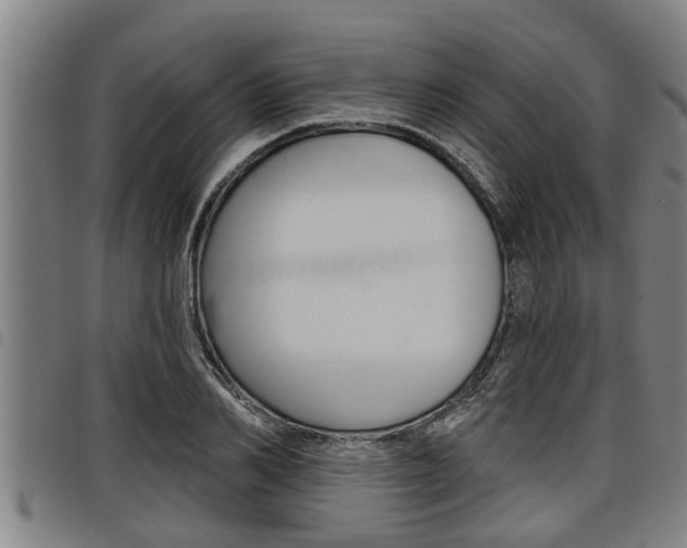 X0000098110982200804040757