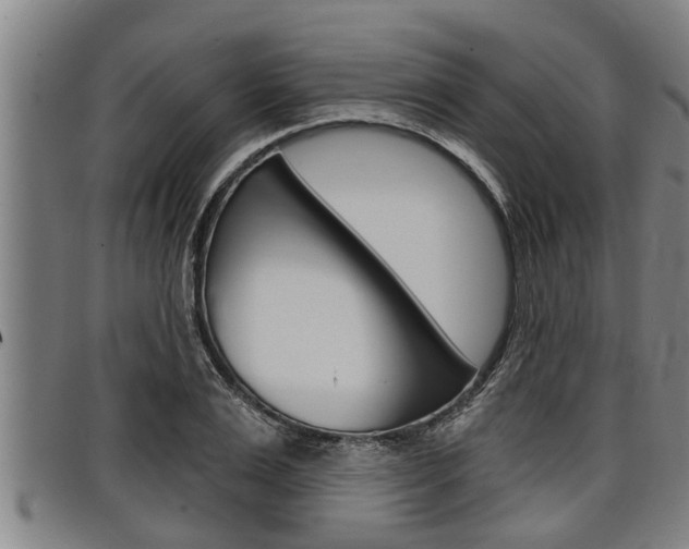 X0000098110983200804040757