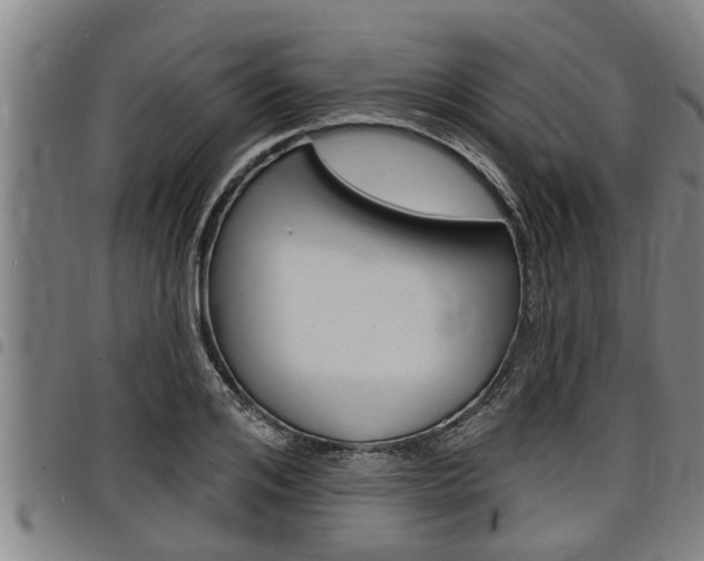 X0000098110984200804040757