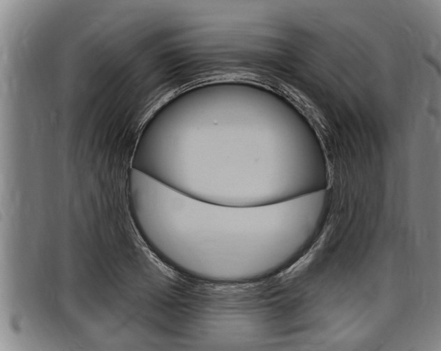 X0000098110985200804040757