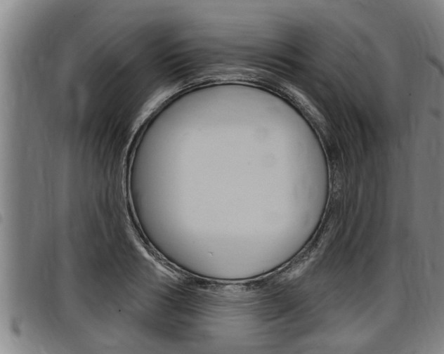 X0000098110986200804040757