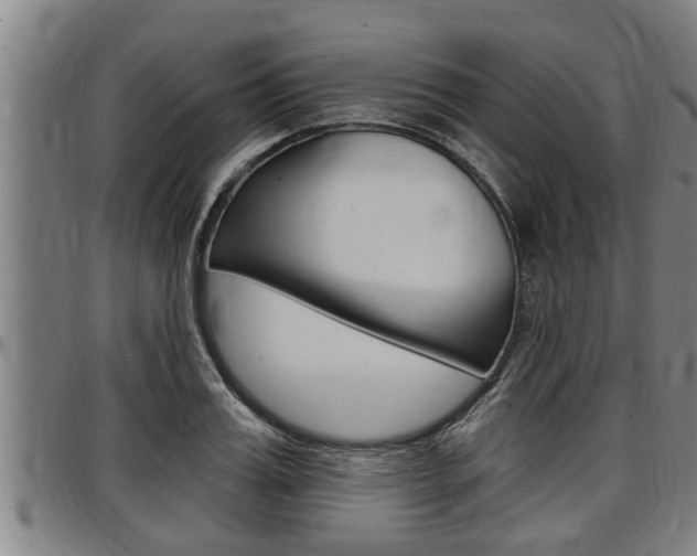 X0000098110987200804040757