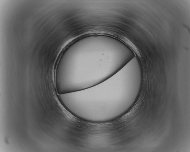 X0000098110988200804040757
