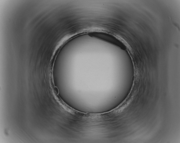 X0000098110989200804040757