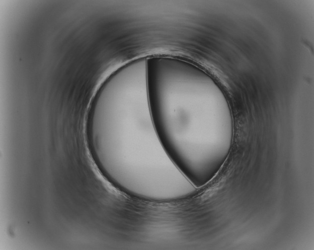 X0000098110991200804040757