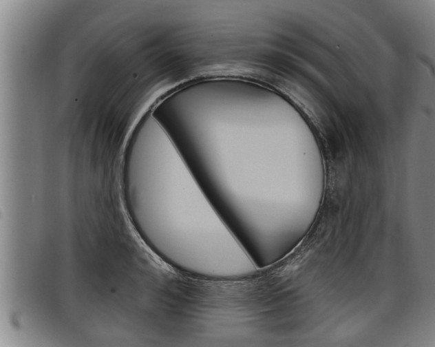 X0000098110992200804040757