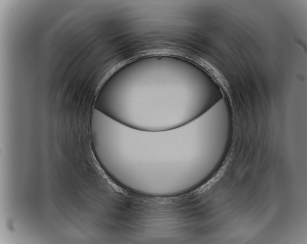 X0000098110993200804040757